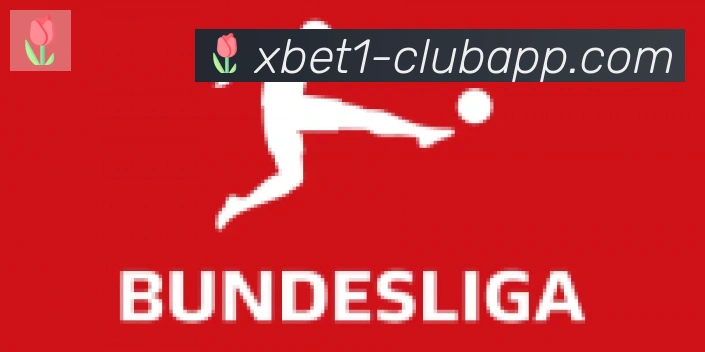 1xbet体育合作伙伴